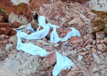 Videoarte “A Metamorfose” é exibida em vias públicas de Cachoeiro