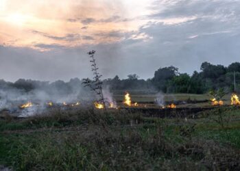 Portaria dispõe sobre suspensão de Autorização de Queima Controlada no Espírito Santo