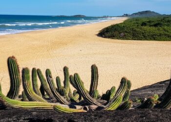 Confira como será o funcionamento dos parques estaduais no fim de ano PEPCV Leonardo Merçon