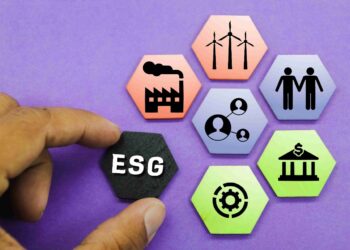 Sustentabilidade empresarial importância e como desenvolver