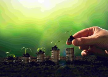 economia dinheiro sustentabilidade negocios arvores