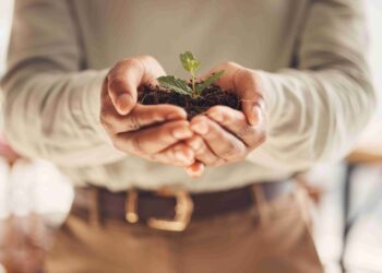 sustentabilidade natureza consciencia ambiental proteger planta fauna