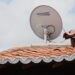 siga antenado antena telhado