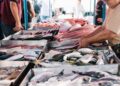 Quaresma nutricionista orienta como escolher peixes frescos e congelados_