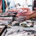 Quaresma nutricionista orienta como escolher peixes frescos e congelados_