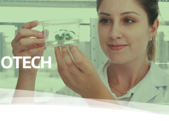 FuturaGene recebe aprovação da CTNBio para o primeiro eucalipto geneticamente modificado do mundo com três características de interesse em um único produto combinado