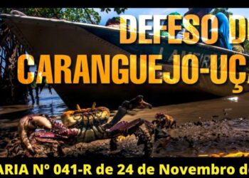 Defeso do caranguejo-uçá vai até dia 14