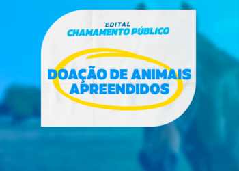 Piúma Realiza Chamamento Público para Doação de Animais
