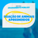 Piúma Realiza Chamamento Público para Doação de Animais