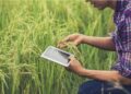 Governo do Estado abre edital de apoio a projetos de pesquisa científica na agropecuária