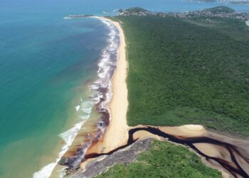 PEPCV - Iema Divulgação Iema publica edital de chamamento público para coordenador de projeto de pesquisa