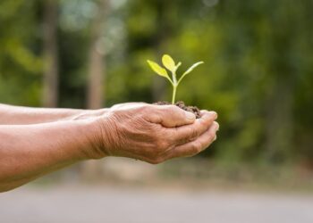 Governo do Estado promove Sustentabilidade Brasil, a maior conferência nacional sobre sustentabilidade e ESG