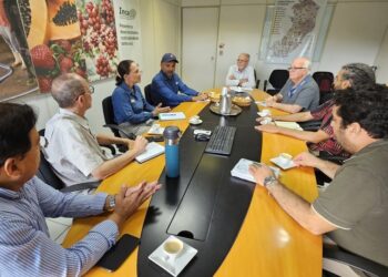 Incaper recebe produtores da Costa Rica para intercâmbio tecnológico no cultivo de mamão