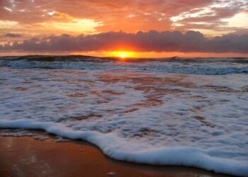 Parque Estadual Paulo César Vinha completa 34 anos