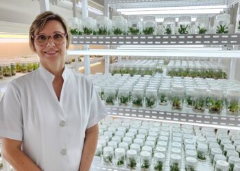 Foto: Daniel Borges e Felipe Ribeiro/Incaper