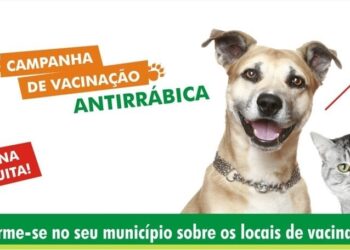 Cães e gatos já estão sendo vacinados contra raiva