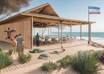 Teleférico, tirolesa, glamping: confira os principais atrativos do Parque Estadual Paulo César Vinha após a concessão