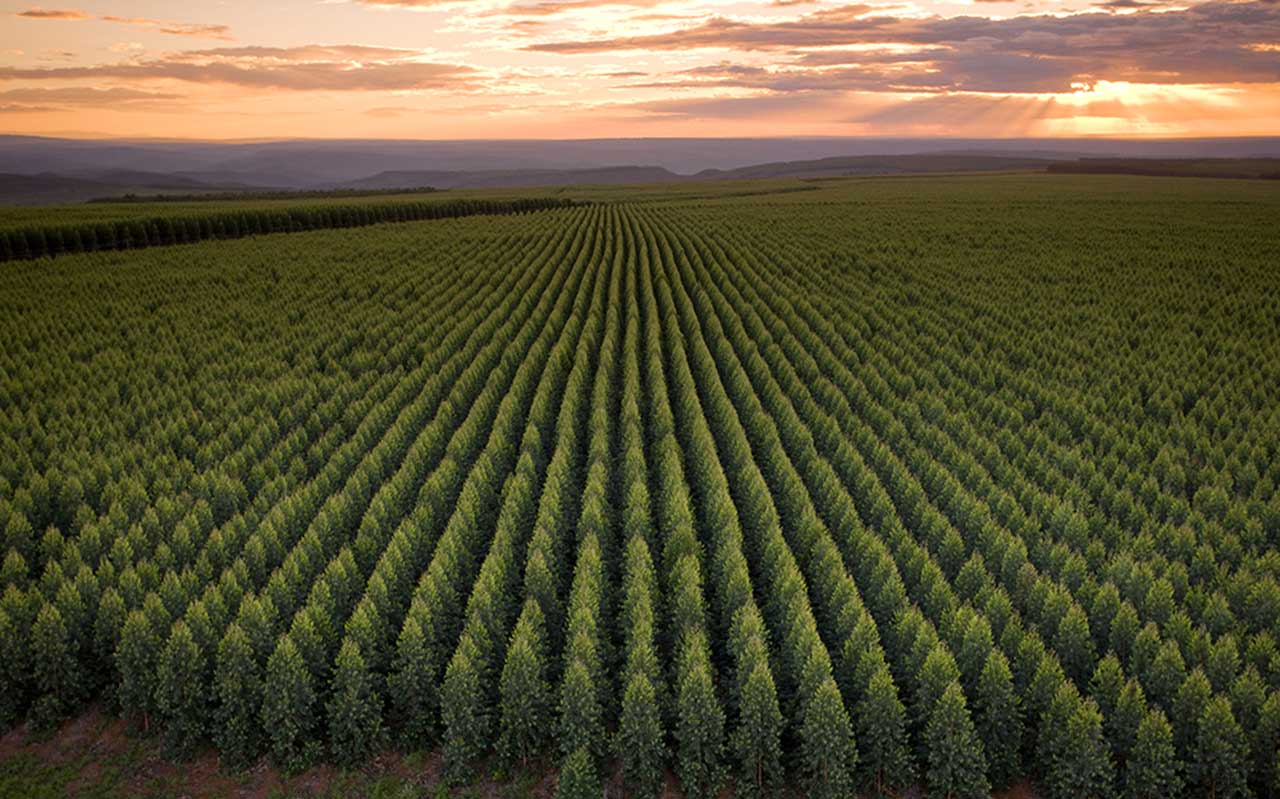 Samarco faz parceria com Aperam BioEnergia para utilizar combustível 100% renovável e avança no processo de descarbonização