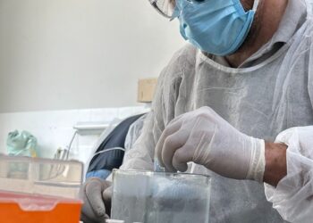 Dia Mundial Contra a Raiva: Idaf alerta sobre cuidados para evitar a disseminação da doença