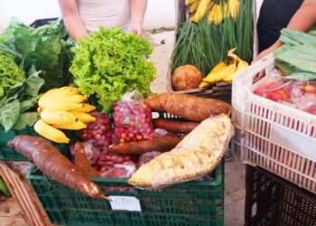 Setades lança edital da IV Mostra de Experiências em Segurança Alimentar Nutricional