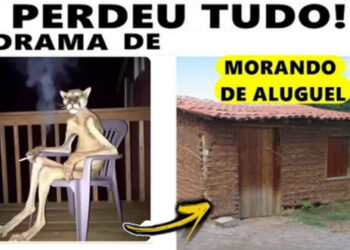 Fazenda divulga lista de bets autorizadas a ofertar apostas até dezembro