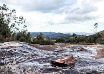 Aproveite o feriado de Finados