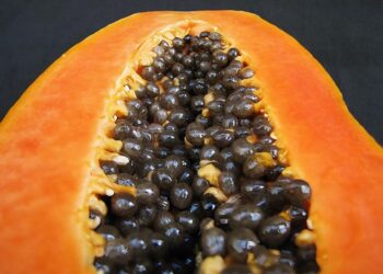 Simpósio no Espírito Santo apresenta inovações para a cadeia produtiva do mamão