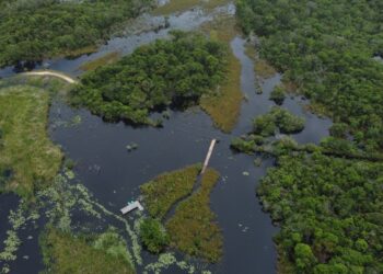 Trilhas do Parque Estadual Paulo César Vinha permanecem fechadas devido ao aumento do nível da Lagoa de Caraís