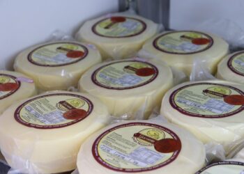 Projeto do Governo do Estado vai caracterizar os tipos de queijos artesanais produzidos no Espírito Santo