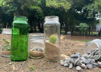 Parque Cultural Casa do Governador promove oficinas criativas e visitas mediadas em fevereiro