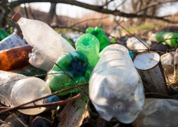 Últimos dias para participar da Consulta Pública sobre serviços de limpeza urbana e manejo de resíduos sólidos