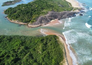 Pesquisas apoiadas pelo Iema destacam avanços na conservação ambiental