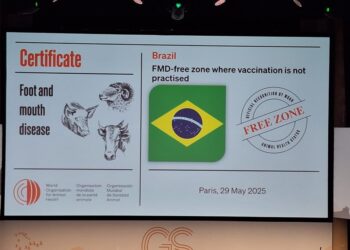 Reconhecimento internacional: Espírito Santo é livre de febre aftosa sem vacinação