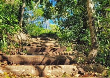 A trilha que dá acesso às piscinas naturais do Parque Estadual da Pedra Azul (Pepaz), administrado pelo Instituto Estadual de Meio Ambiente e Recursos Hídricos (Iema), será reaberta neste sábado (17), após 12 dias de interdição. A medida foi necessária para a realização de serviços de manutenção na área de caminhada, especialmente em um trecho que concentra o maior fluxo de visitantes. A interdição teve como principal objetivo garantir a segurança dos frequentadores durante o período das obras. O percurso completo, agora liberado, tem aproximadamente 3,5 quilômetros de extensão e pode ser realizado em um período de duas a três horas. Esse trajeto dá acesso a todos os mirantes e às piscinas naturais, oferecendo uma experiência mais ampla aos visitantes. Durante a interdição, as trilhas circulares do Pepaz permaneceram abertas à visitação, com agendamento obrigatório por meio do portal Agenda ES. Autoguiadas e bem sinalizadas, essas trilhas conduzem à base da Pedra Azul e aos mirantes do Lagarto e do Forno Grande, sendo uma opção mais curta para quem deseja explorar o parque. Serviço: Agendamentos em: agenda.es.gov.br Parque Estadual da Pedra Azul Horário de funcionamento para visitação: das 8h às 16h, de terça a domingo Capacidade de visitantes por dia: 150 pessoas Agendamento para visitação: https://agenda.es.gov.br/servicos?q=pedra%20azul (Clicar na opção INDIVIDUAL) Agendamento para escalada ao topo: https://agenda.es.gov.br/servicos?q=pedra%20azul (Clicar na opção Escalada nos Parques Estaduais) Endereço: Rota do Lagarto, s/n, Km 03. Distrito Pedra Azul, Domingos Martins-ES. CEP:29278-000