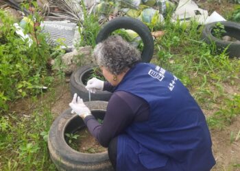Mesmo com a chegada do frio, cuidados contra a Dengue devem continuar