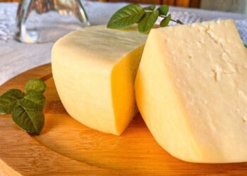 Queijos capixabas conquistam medalhas de ouro