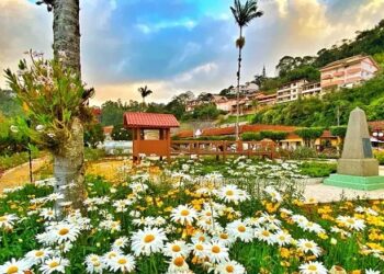 Turismo capixaba: empresas podem obter financiamento de até R$ 300 mil