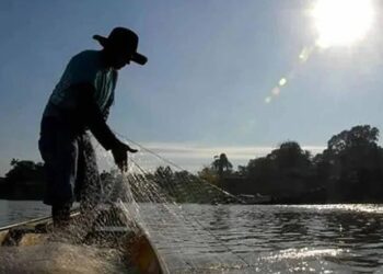 Novas regras para concessão de seguro-defeso são tema da Voz do Brasil desta terça