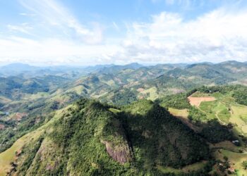 Espírito Santo ultrapassa 2 milhões de mudas plantadas e reafirma liderança nacional em recuperação da Mata Atlântica