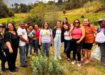 Incaper de Itapemirim promove intercâmbio sobre uso e processamento de plantas medicinais