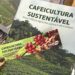 Nova cartilha do Incaper orienta sobre produção sustentável de café conilon