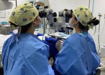 Segunda edição do Dia E foram realizados 12.464 procedimentos em todo país