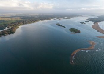 Samarco realiza repasse de R$ 278 milhões para o financiamento do programa de monitoramento da biodiversidade aquática na Bacia do Rio Doce