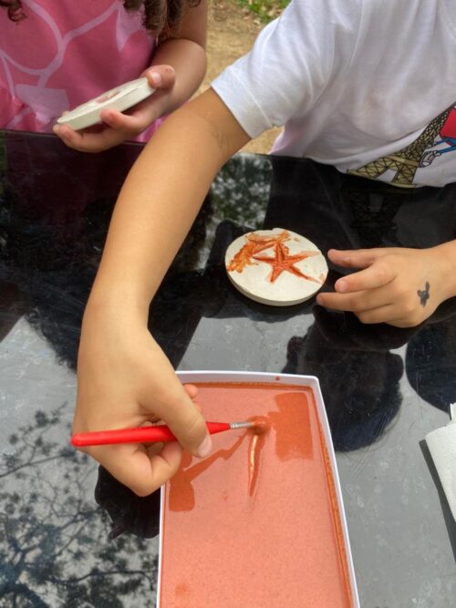 Fundação Projeto Tamar ensina paleontologia para as crianças