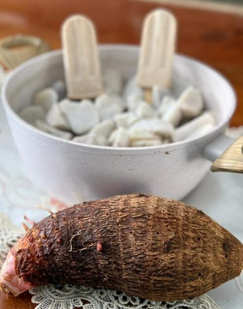 Família de agricultores transforma inhame em sorvetes em Alfredo Chaves