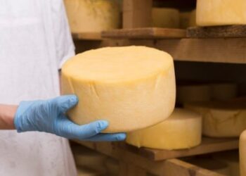 Dia do Queijo destaca a força da produção artesanal no Espírito Santo