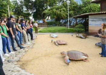 Rota da Tartaruga abre inscrições para edição 2026