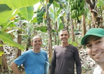 Produção orgânica: experiência do Incaper em Iconha é apresentada como referência ao Ministério da Agricultura