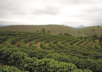 Incaper prevê chuvas dentro da média e temperaturas acima do normal em março no Espírito Santo