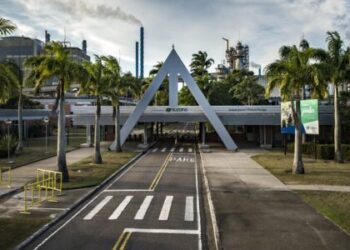 Mais oportunidades para trabalhar na Suzano, em Aracruz e em Cachoeiro de Itapemirim